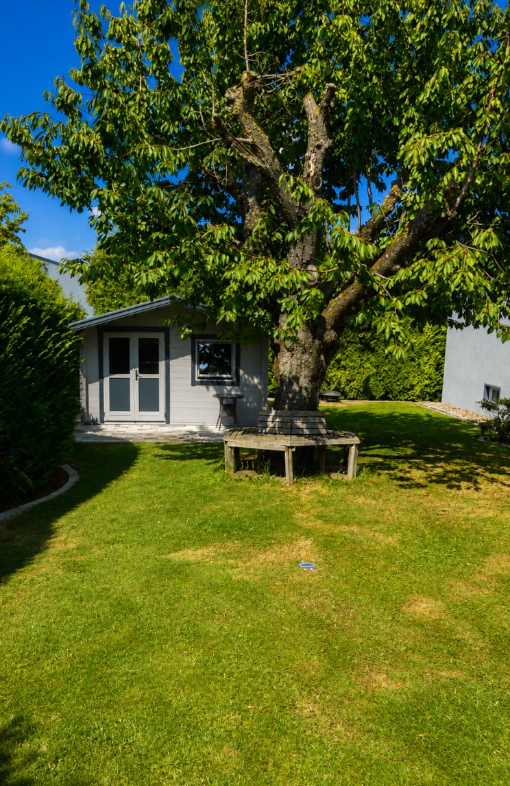 Garten mit großem Baum und Gartenhaus